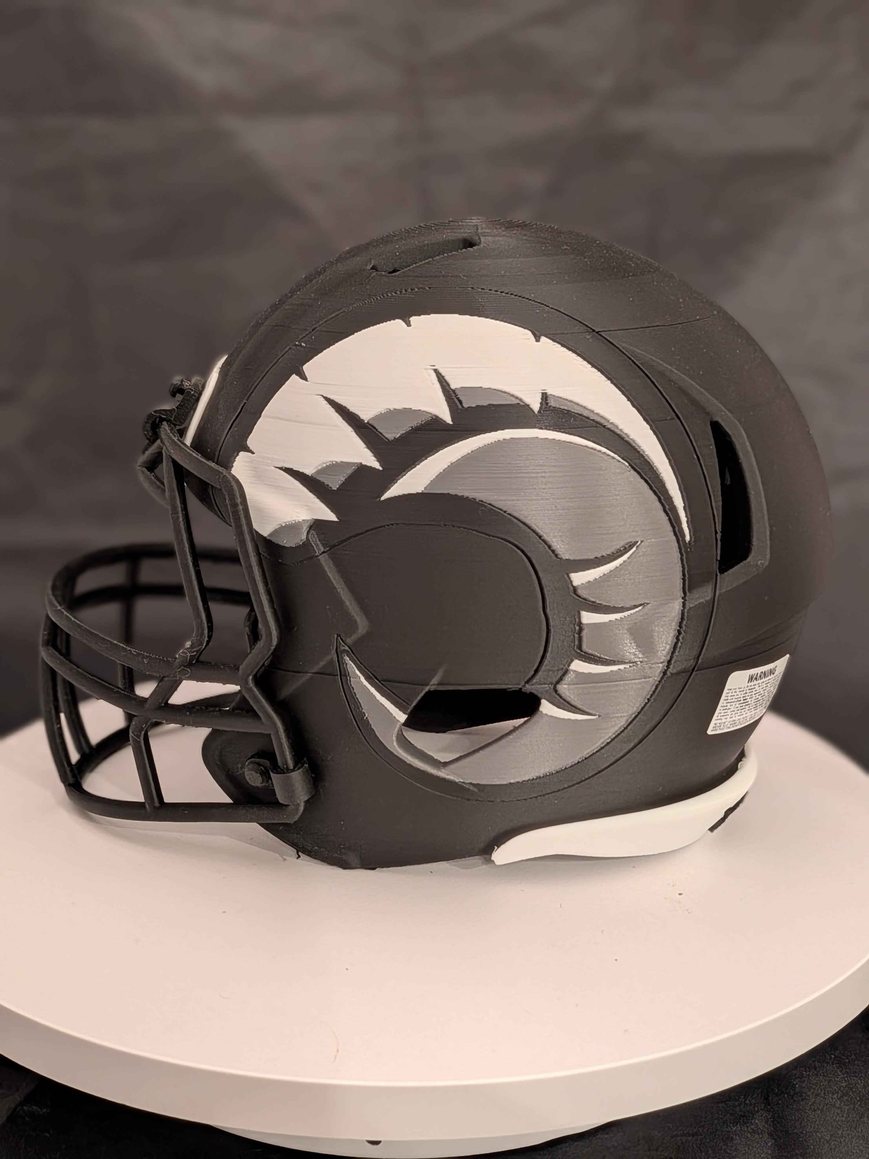 Custom 3D Printed High School/College Mini Helmets