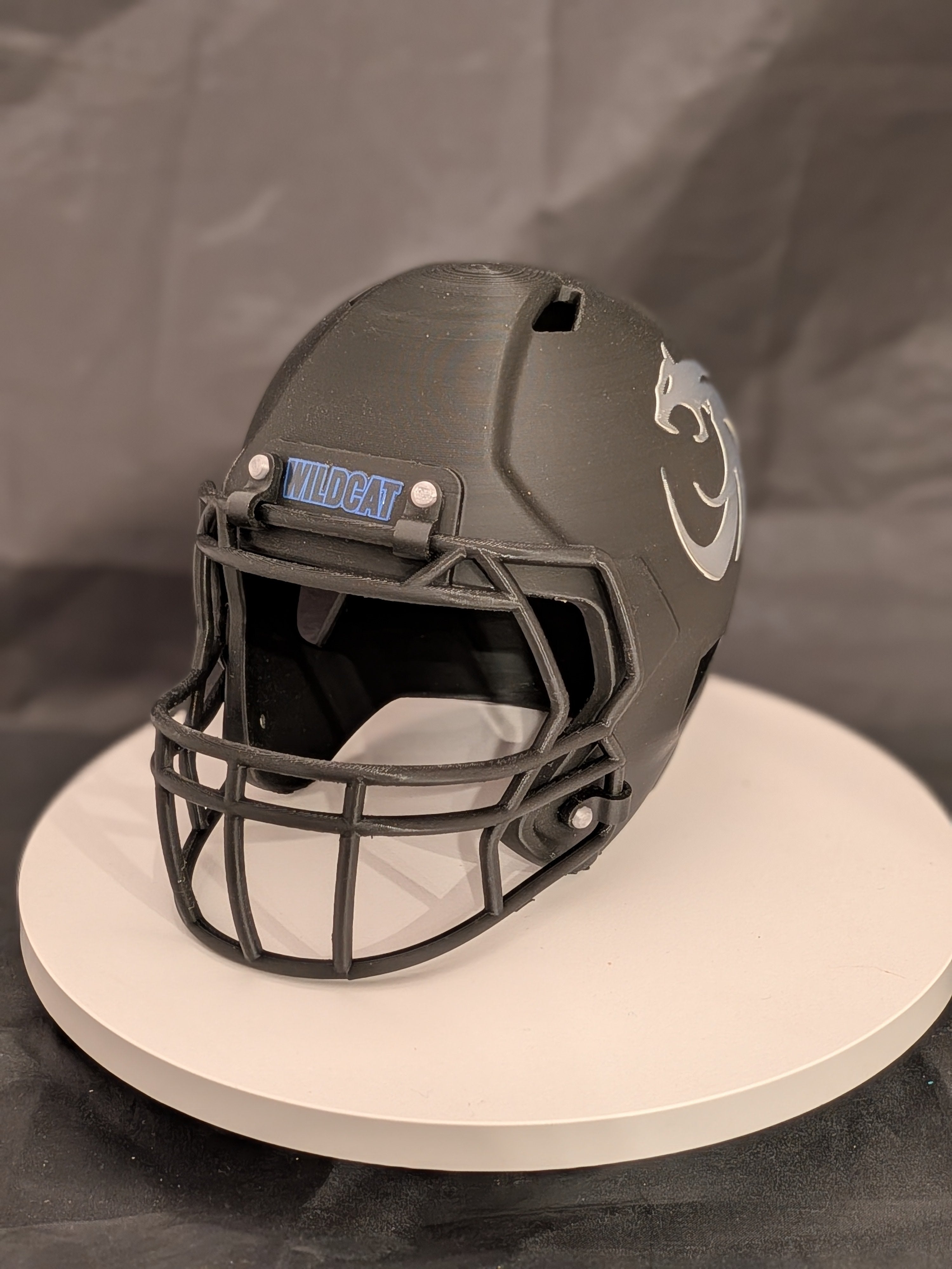 Custom 3D Printed High School/College Mini Helmets