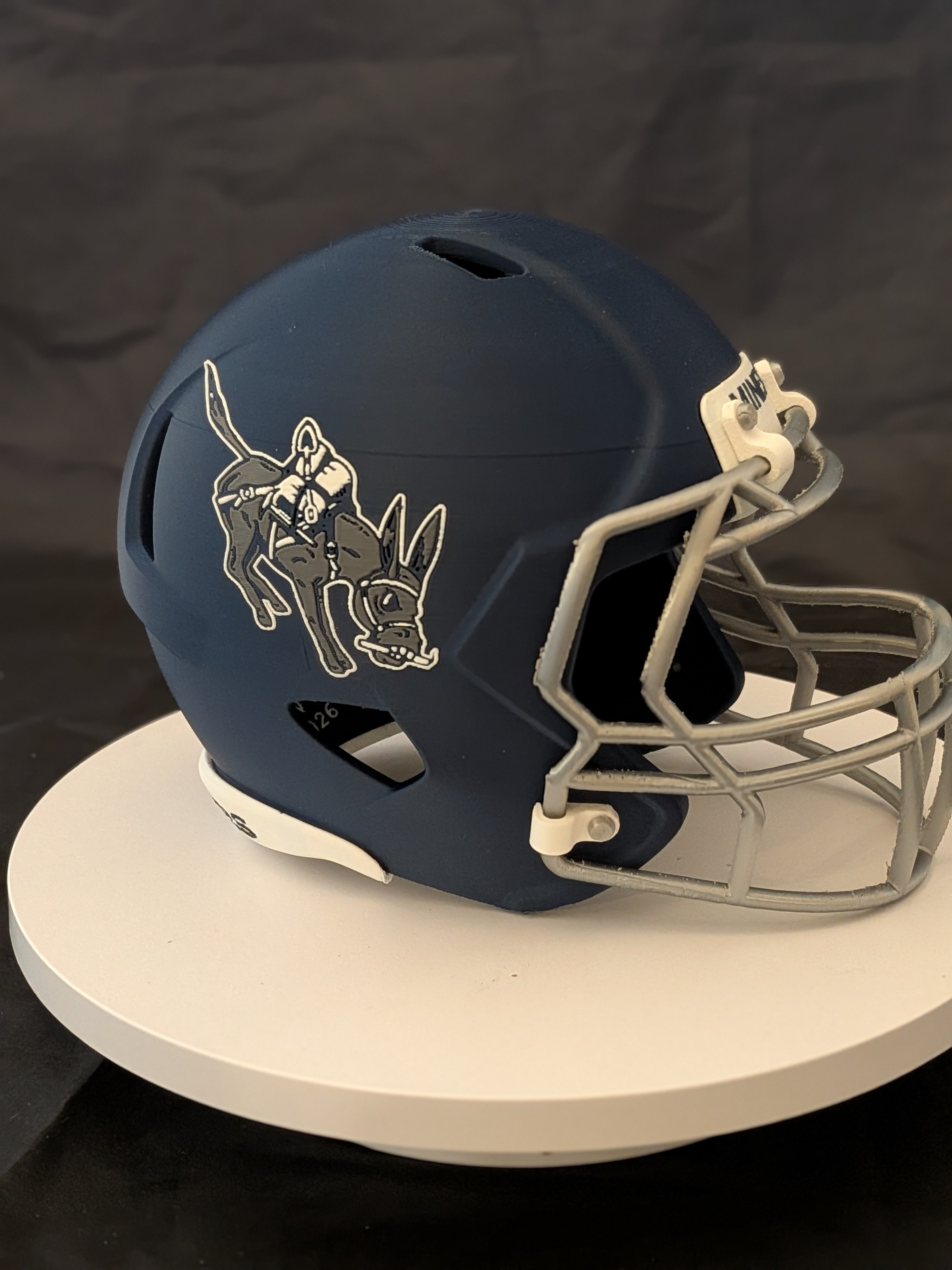 Custom 3D Printed High School/College Mini Helmets